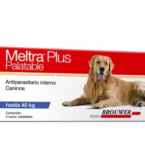 Meltra Plus Palatable - Perros
