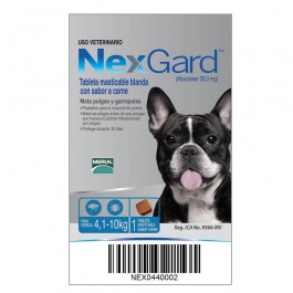 Nexgard de 4 a 10kg