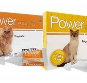 Power Ultra Gatos