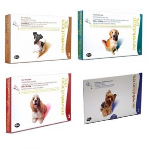 Revolution 12% perros