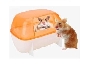 Baño para Hamster