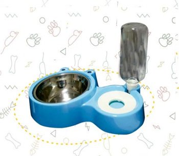 Plato Doble con Dispensador de Agua Carita de Sapo