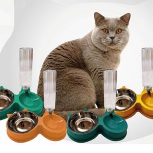 Plato doble con dispensador de agua M1 - Gato