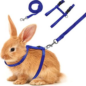 Arnés para Conejo
