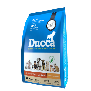 Ducca Perro Cachorro